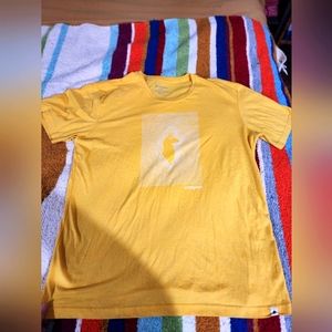 Cotopaxi Llama shirt